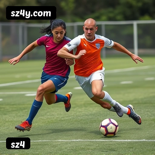 Níveis do programa VIP da sz4